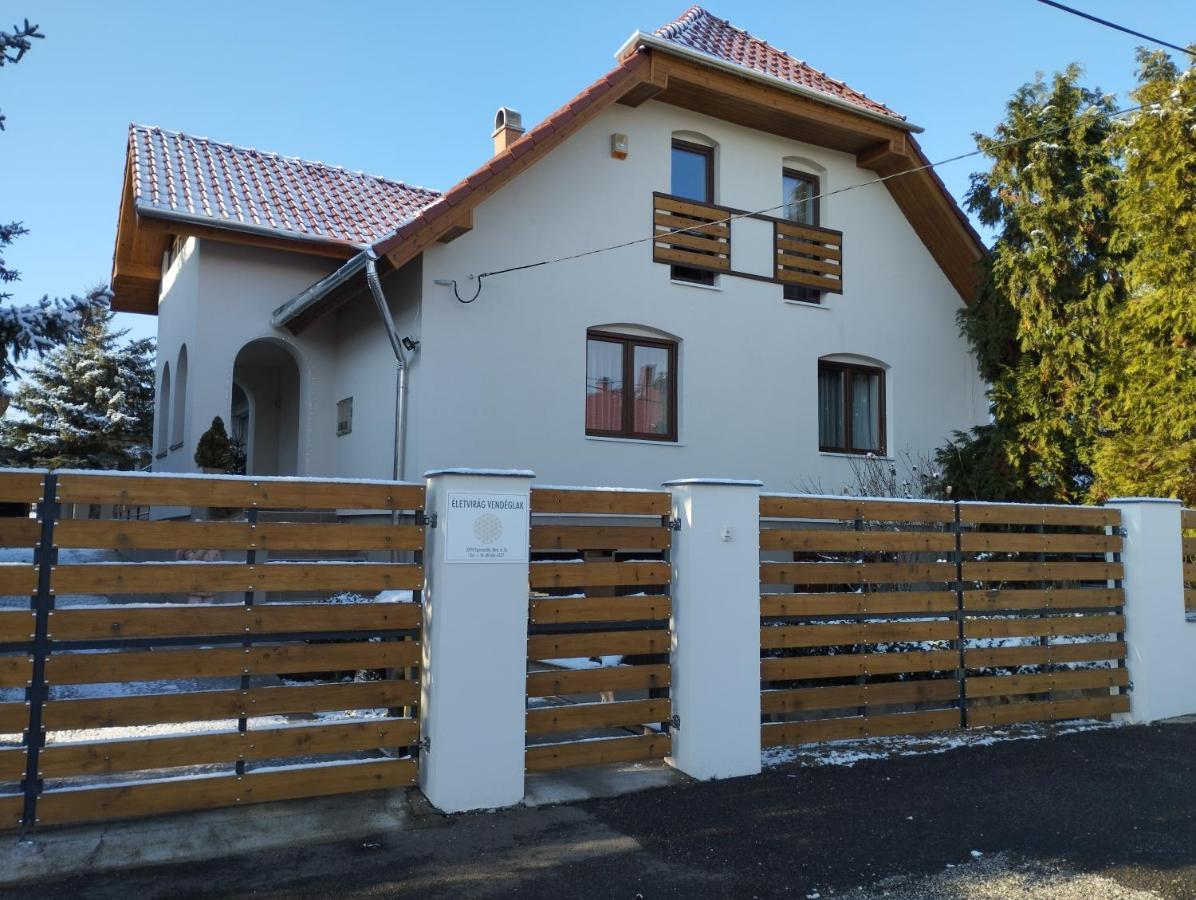 Appartamento életvirág Vendéglak
